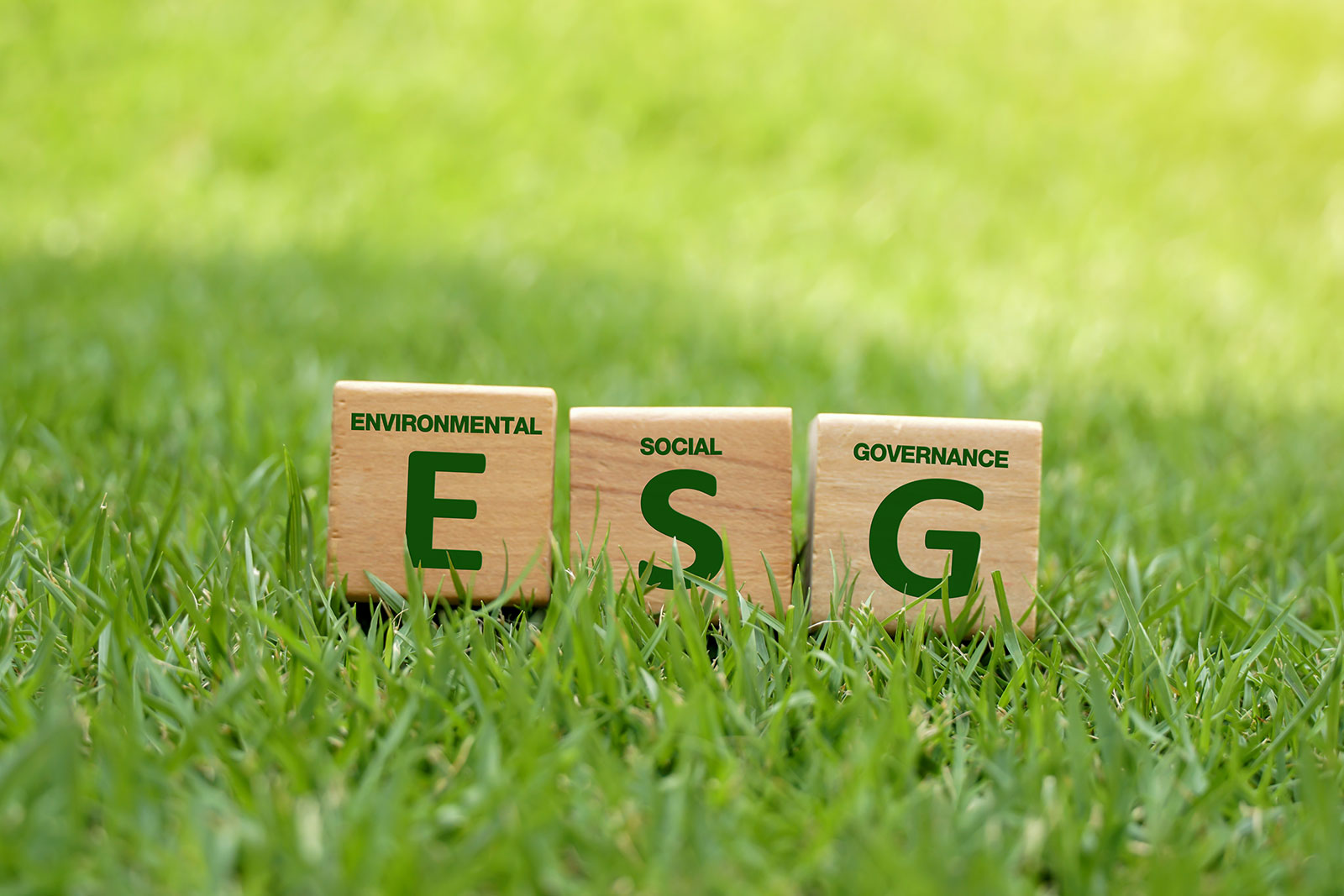 Holzblöcke mit den Buchstaben "E", "S" und "G" darauf auf einer Wiese.